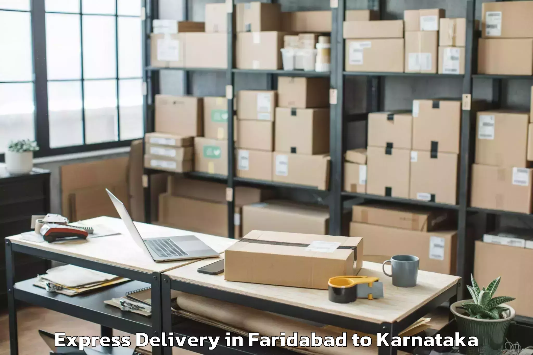 Top Faridabad to Mannaekhelli Express Delivery Available